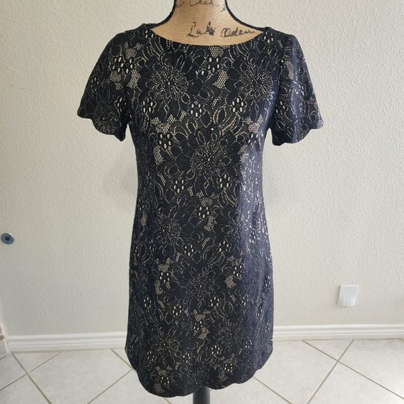 Anne‎ Klein black lace statement sleeve dress size small - Picture 1 of 9